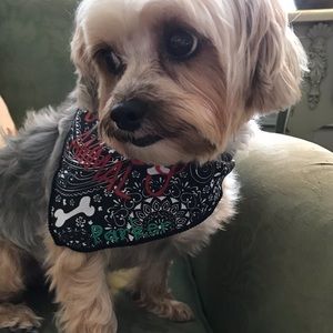 Meet your Posher, Lola